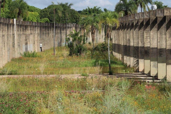 Jardim de Sequeiro, Instituto Central de Ciências, Universidade de Brasília, Brasil, 2023, Julio Pastore / © cortesia do fotógrafo