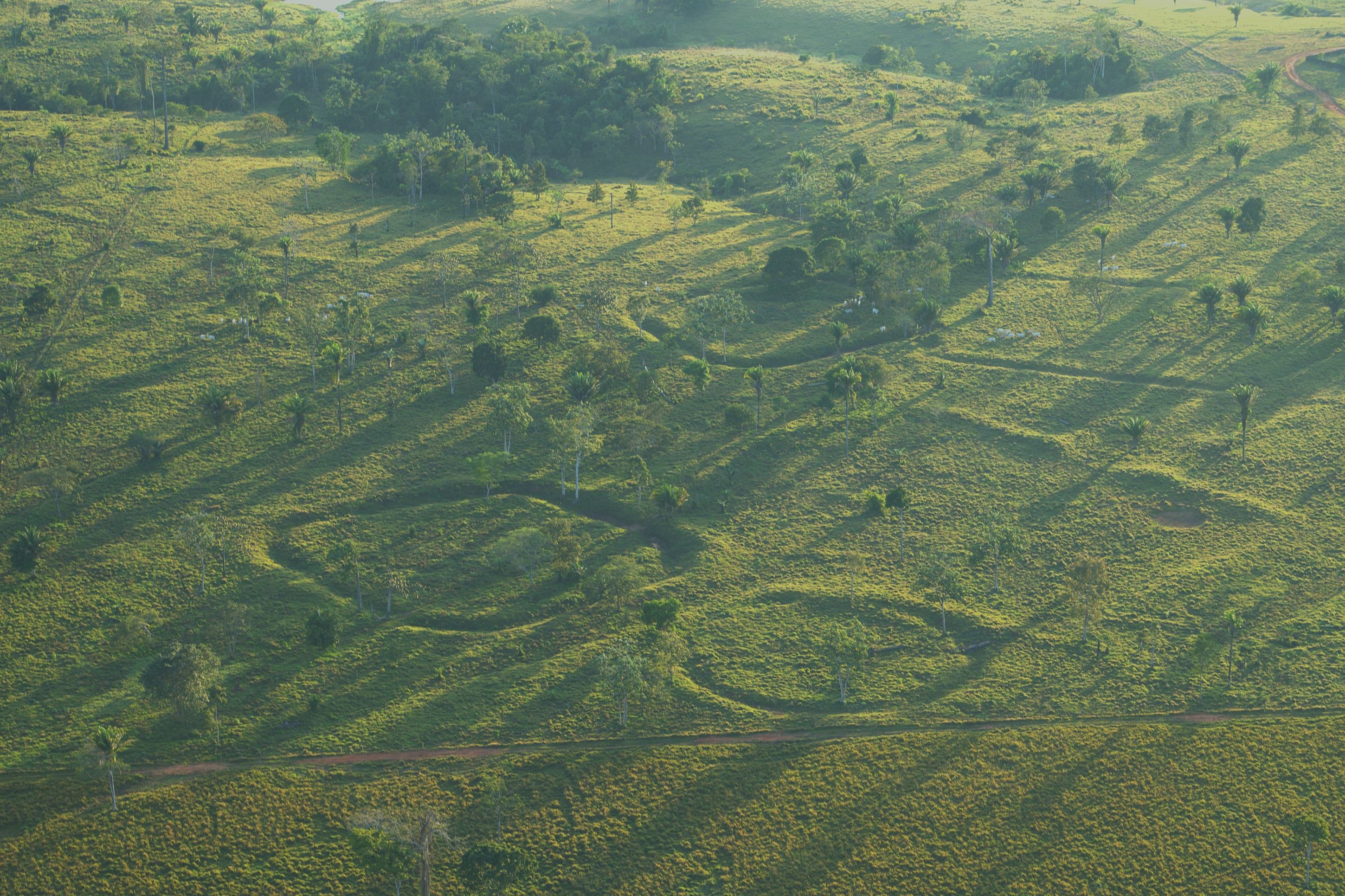 Brasilienses vão levar Amazônia para a Bienal de Arquitetura de Veneza