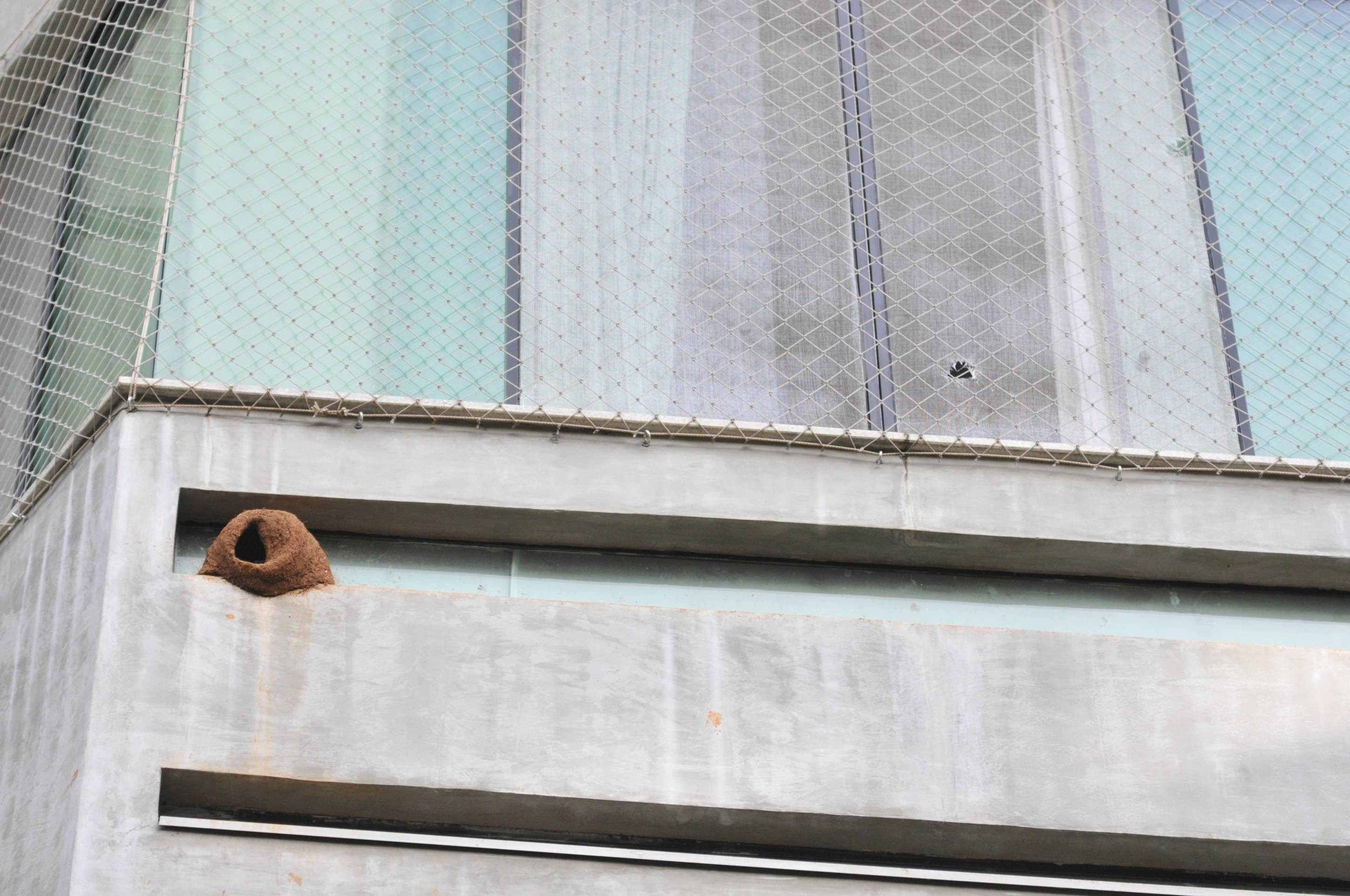  20/02/2025. Crédito: Minervino Júnior/CB/D.A Press. Brasil.  Brasilia - DF. Casa de João de Barro feita na fachada de prédio na 312 sul.