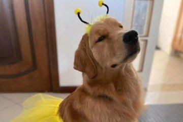 As fantasias devem ter tecidos leves e confortáveis. 