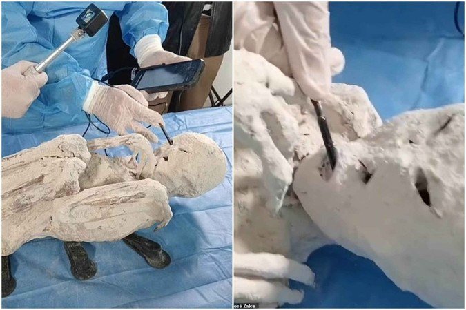 No ano ado, pesquisadores informaram que, após análise científica nas supostas múmias alienígenas, chegaram à conclusão de os materiais são feitos de ossos de animais terrestres

 -  (crédito: Divulgação/Dr. José Zalce)