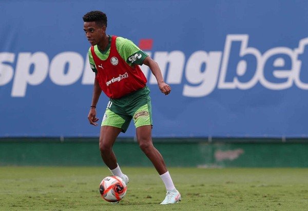 Cesar Greco/Palmeiras