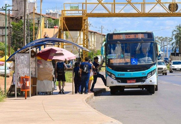 SEDF/Divulgação