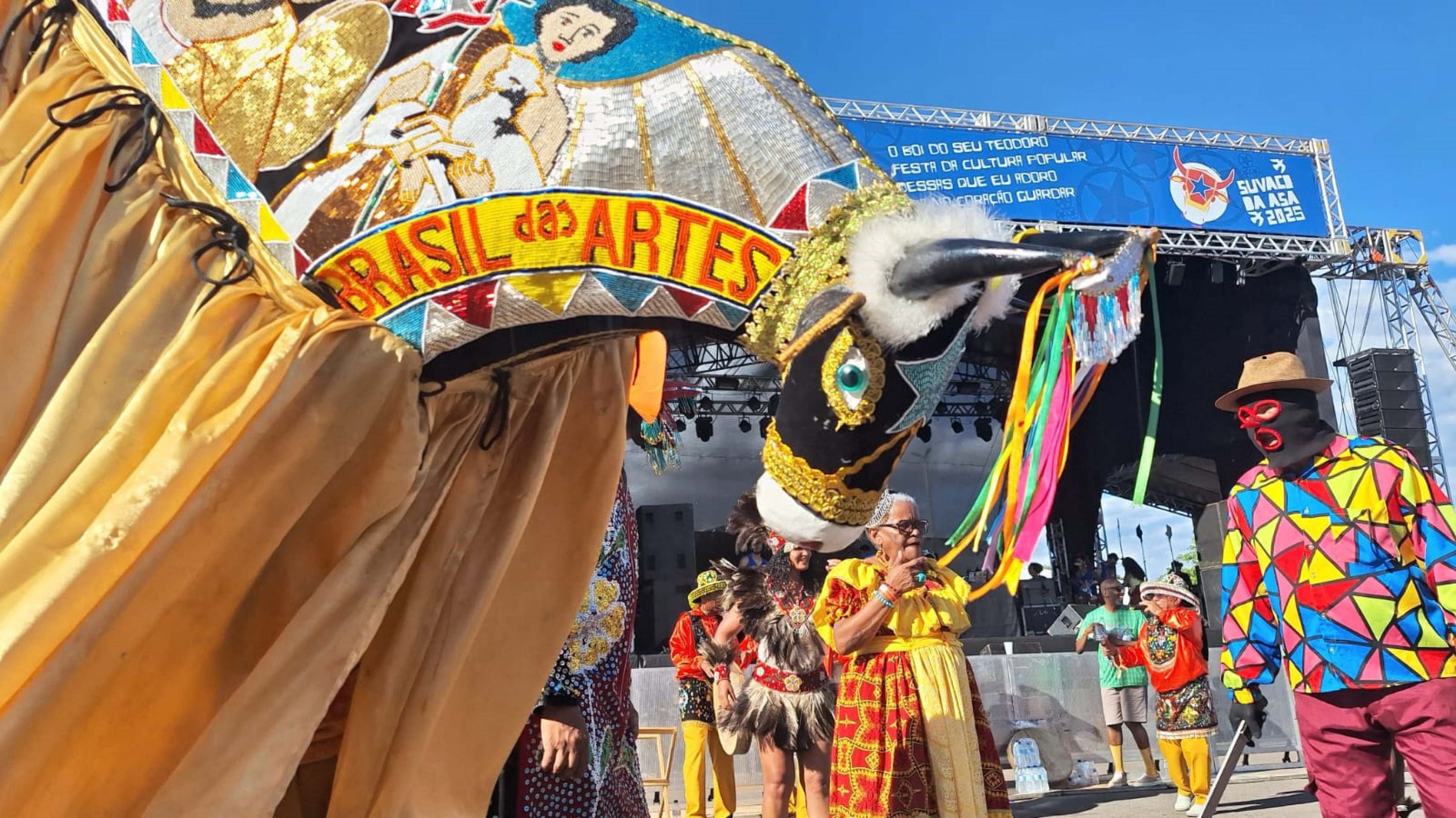  Neste ano, o Suvaco da Asa homenageou uma importante entidade cultural de Brasília: o Boi do Seu Teodoro