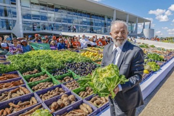 Lula durante o lançamento do Plano Safra da Agricultura Familiar -  (crédito: Ricardo Stuckert / PR)