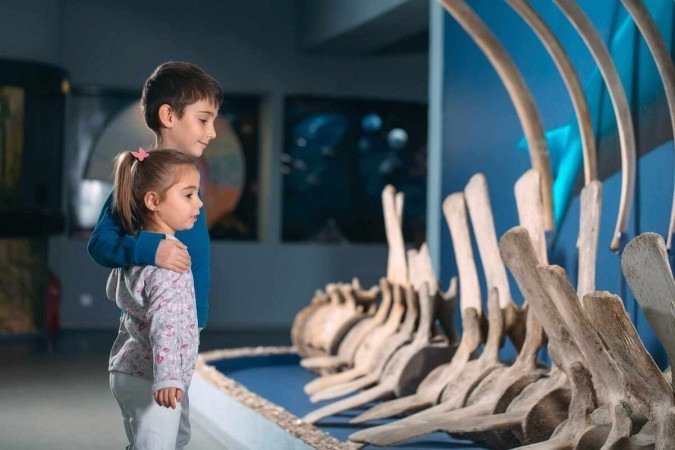 Os museus oferecem experiências que podem abarcar diversas áreas do conhecimento (Imagem: David Tadevosian | Shutterstock) - (crédito: EdiCase) Os museus oferecem experiências que podem abarcar diversas áreas do conhecimento (Imagem: David Tadevosian | Shutterstock) - (crédito: EdiCase)