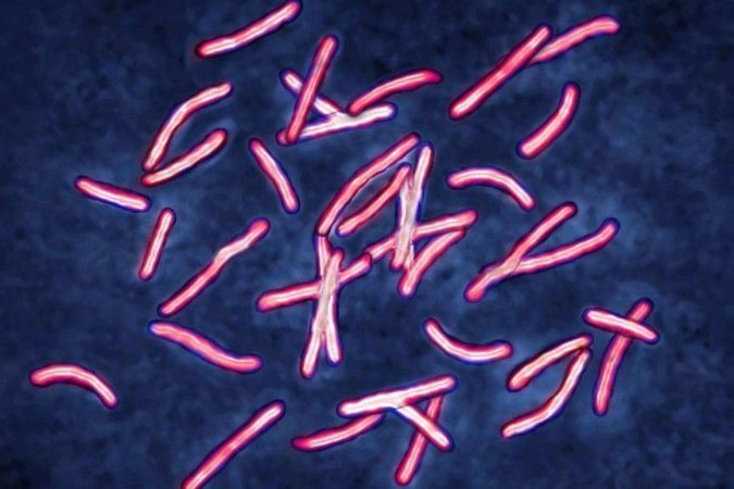 IA soluciona em dois dias questão-chave sobre superbactérias que cientistas levaram anos para desvendar - (crédito: BBC Geral) IA soluciona em dois dias questão-chave sobre superbactérias que cientistas levaram anos para desvendar - (crédito: BBC Geral)