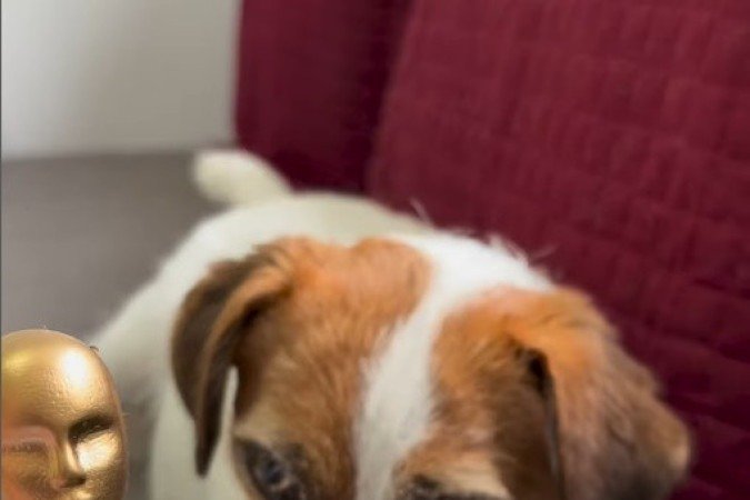 Suri fez o papel de Pimpão em Ainda estou aqui