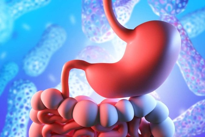 O calor intenso e as aglomerações durante o Carnaval favorecem a proliferação de bactérias que podem causar a gastroenterite (Imagem:
FOTOGRIN | Shutterstock) - (crédito: EdiCase) O calor intenso e as aglomerações durante o Carnaval favorecem a proliferação de bactérias que podem causar a gastroenterite (Imagem:
FOTOGRIN | Shutterstock) - (crédito: EdiCase)