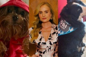 Angélica, Pupu e Ziggy - (crédito: Foto reprodução Instagram) Angélica, Pupu e Ziggy - (crédito: Foto reprodução Instagram)