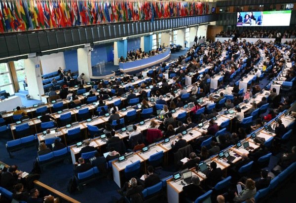  AFP