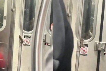 Rato faz pole dance no metrô de Nova York - (crédito: Reprodução / Instagram) Rato faz pole dance no metrô de Nova York - (crédito: Reprodução / Instagram)