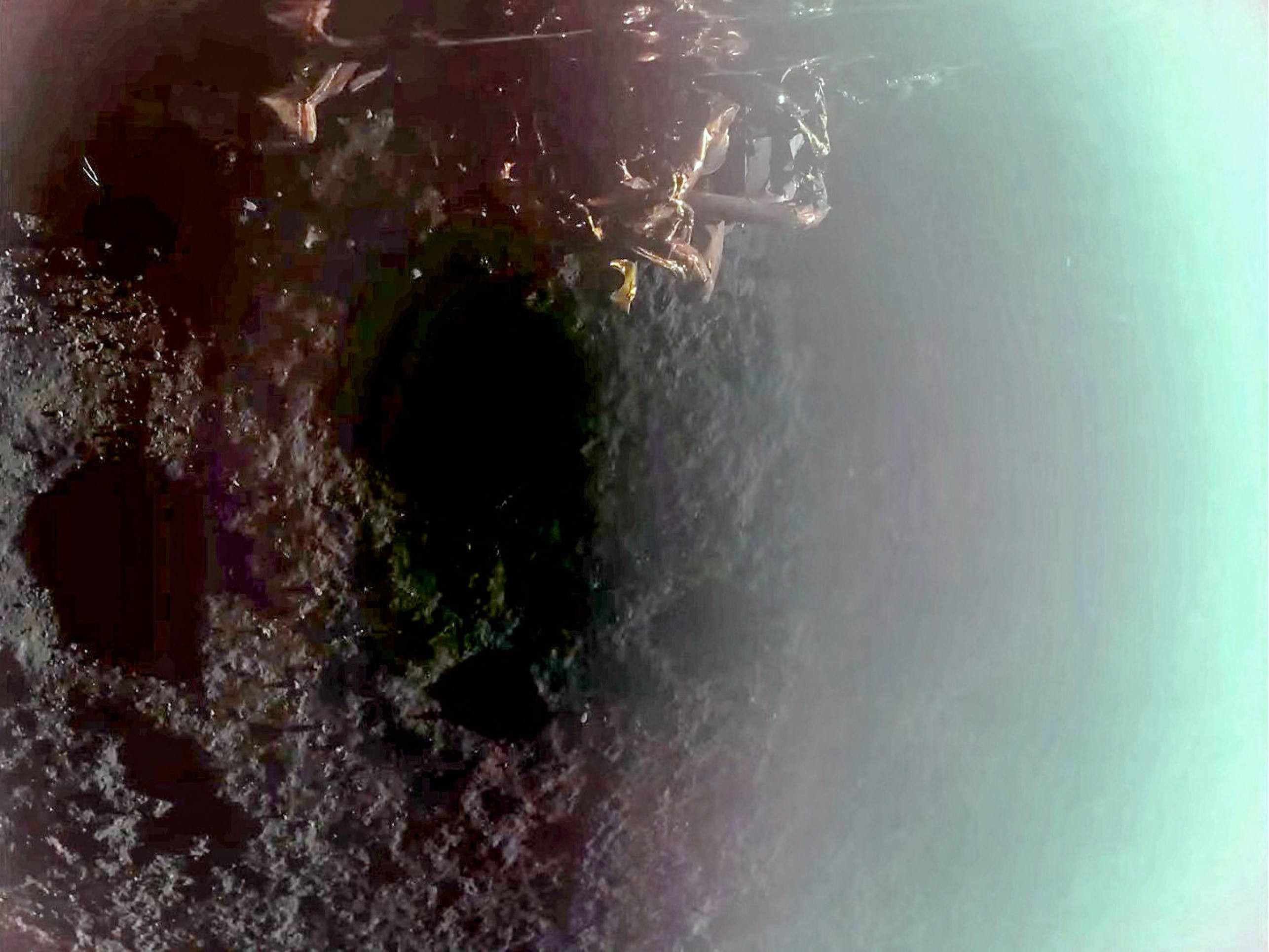  This image grab from a March 2, 2025 video and released by Firefly Aerospace shows Fireflys Blue Ghost lander during its lunar landing as part of the Ghost Mission 1. A US company successfully landed its spacecraft on the Moon on March 2, 2025, making it only the second private lander to achieve this milestone, a live webcast from mission control showed. Firefly Aerospaces Blue Ghost Mission 1 touched down at 3:34 am US Eastern Time (0834 GMT) near Mons Latreille, a volcanic formation in Mare Crisium on the Moons northeastern near side. (Photo by Handout / Firefly Aerospace / AFP) / RESTRICTED TO EDITORIAL USE - MANDATORY CREDIT 