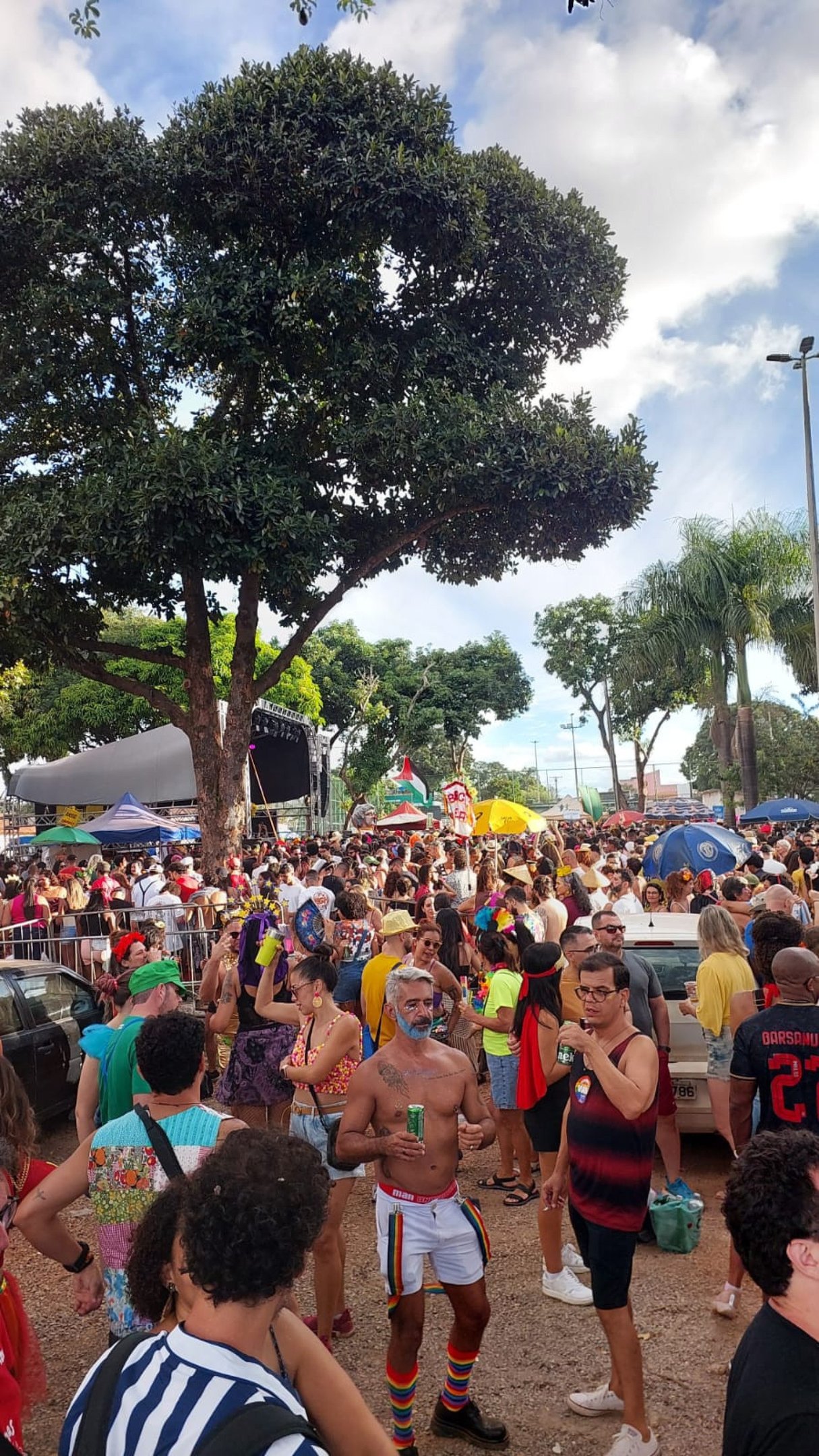 Carnaval 2025 em Brasília - Charretinha 