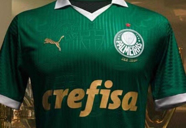 Foto: Reprodução/Palmeiras