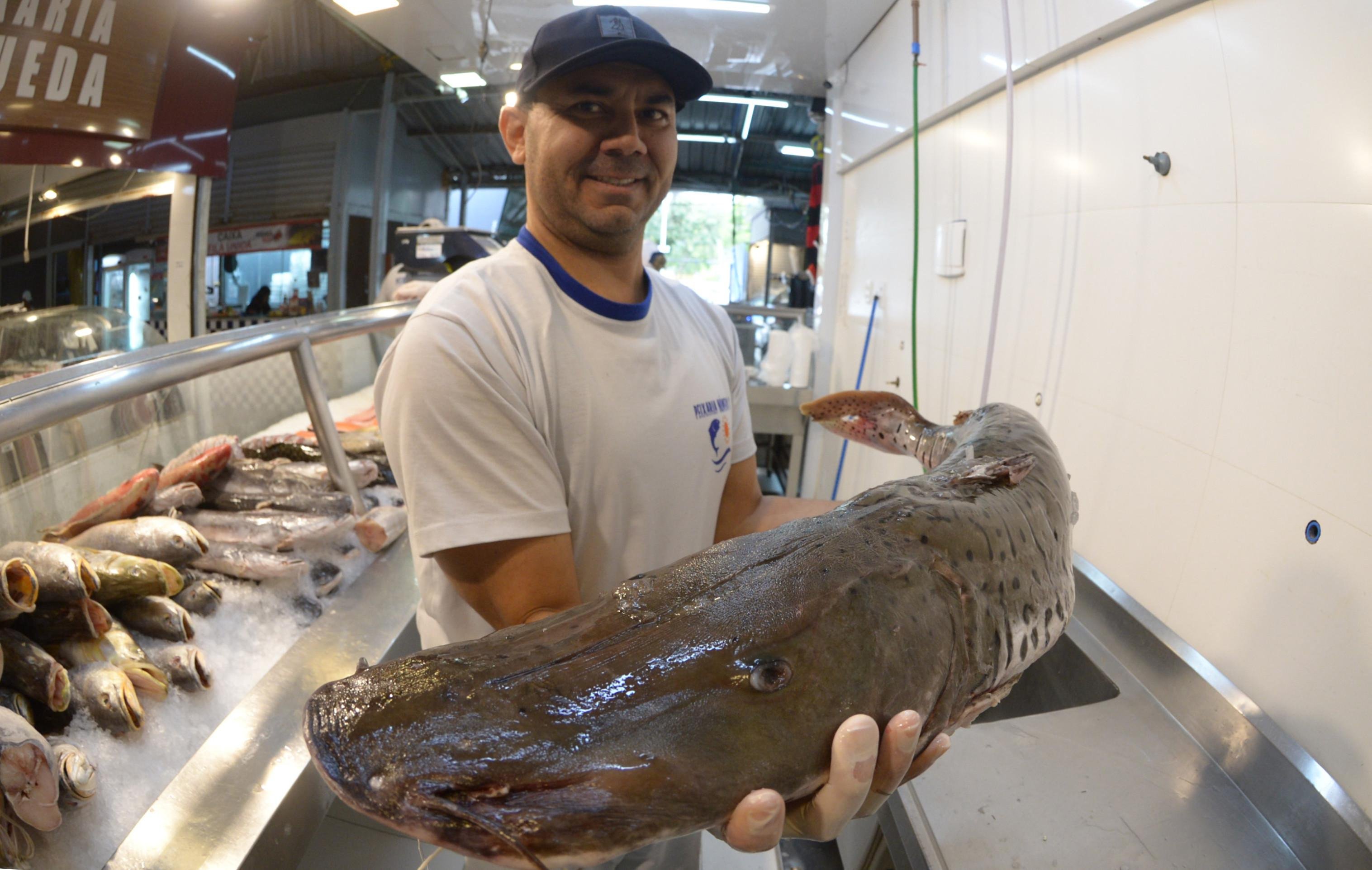  06/03/2025. Ed Alves CB/DA Press. Cidades. Peixaria - Vendas de Peixes na quaresma. Na foto, vendedor Rafael. 