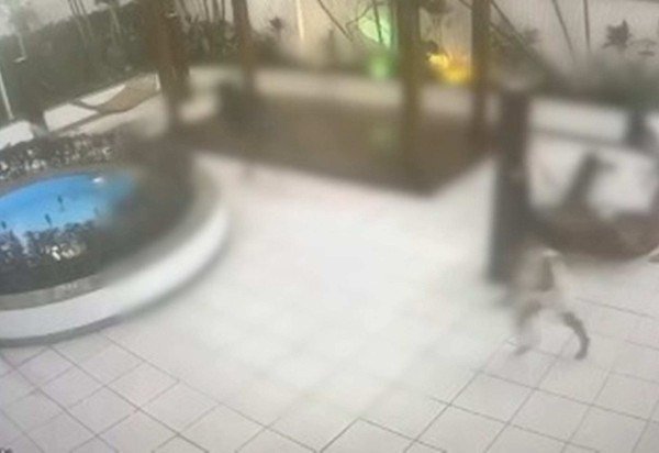 Reprodução/TV Globo