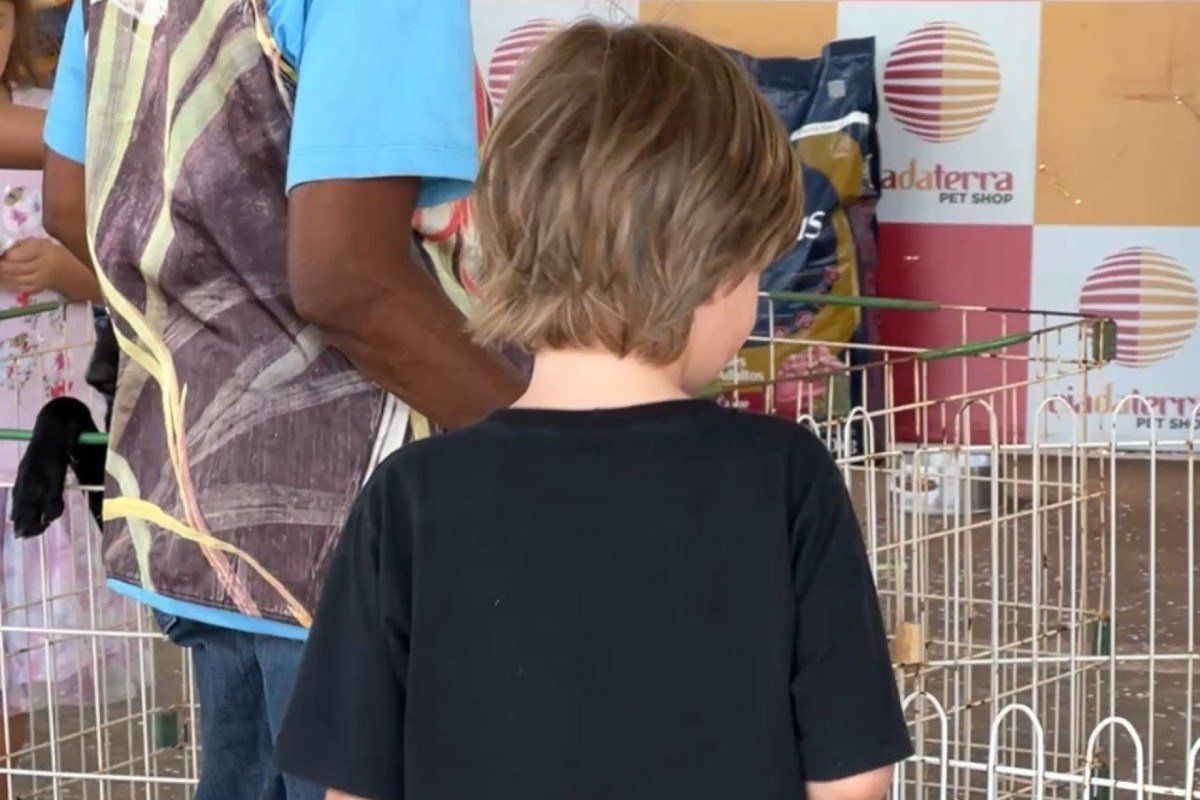Projeto Cats & Dogs trouxe cercadinhos com diversos cachorros para adoção no Carnapati