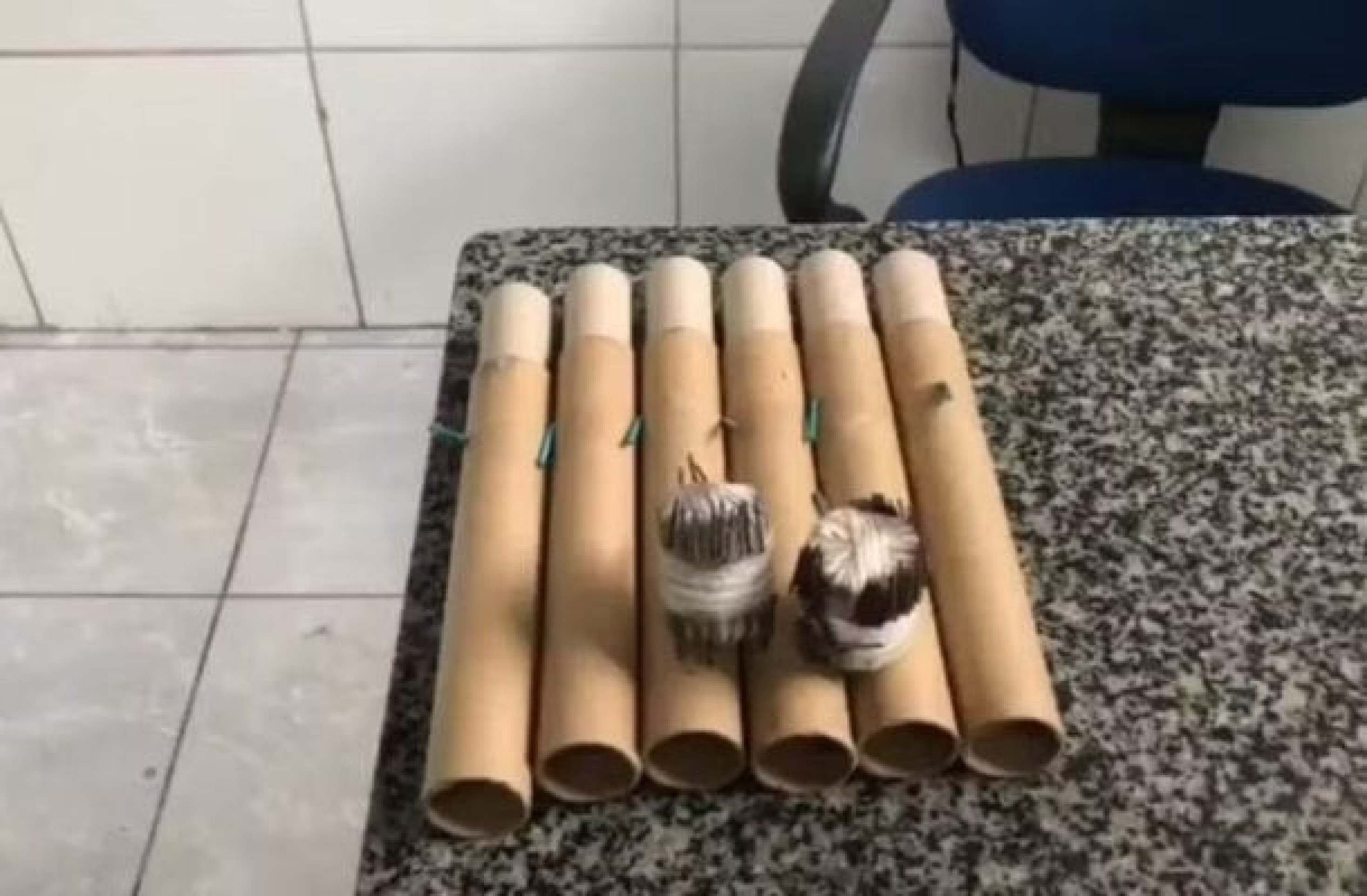 Torcedores do Sport são detidos com bombas caseiras antes do clássico contra o Santa Cruz