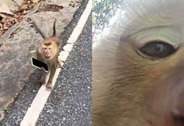 ReproduÃ§Ã£o/TikTok