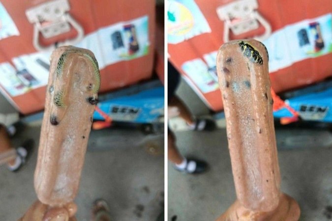 Réptil encontrada no sorvete foi identificada por internautas como da espécie cobra-de-árvore-dourada -  (crédito: Reprodução / Facebook)