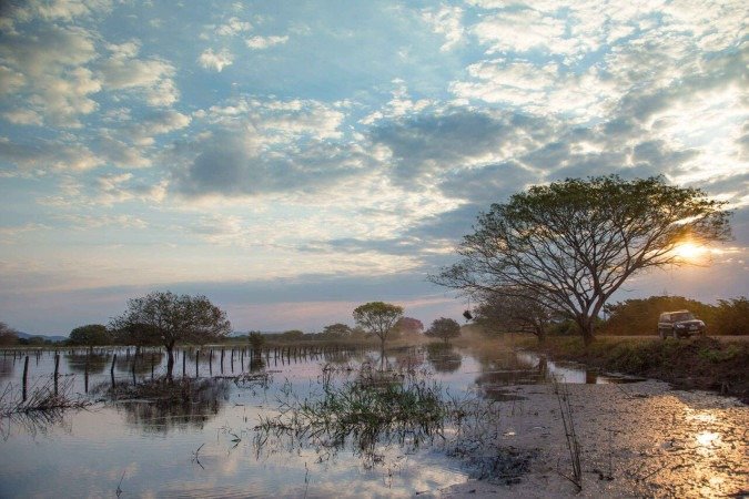 5 motivos para viajar para o Pantanal com as crianças - (crédito: Uai Turismo) 5 motivos para viajar para o Pantanal com as crianças - (crédito: Uai Turismo)