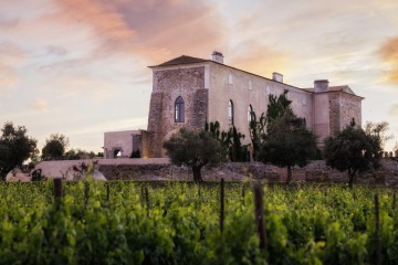 Vinícolas do Alentejo
A Fita Preta foi construída em um palácio muito procurado para cerimônias de casamento
     -  (crédito: Fabrice Demoulin/Divulgação)