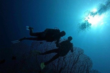 Casal goiano naufraga em Maldivas, em lua de mel: 'Colete não inflou'
 -  (crédito: Reprodução/Instagram/@femdiniz)