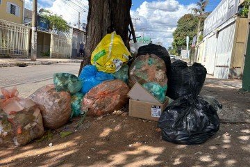 Ceilândia teve mais de 72t de lixo irregular no ano passado -  (crédito: Leonardo Rodrigues)