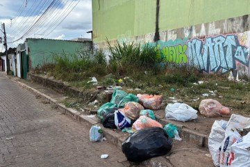 As cinco cidades com mais ações fiscais são: Ceilândia, Itapoã, Plano Piloto, Samambaia e Águas Claras, respectivamente

 -  (crédito: Leonardo Rodrigues)