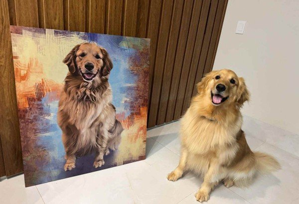 Meu Quadro Pet/Divulgação