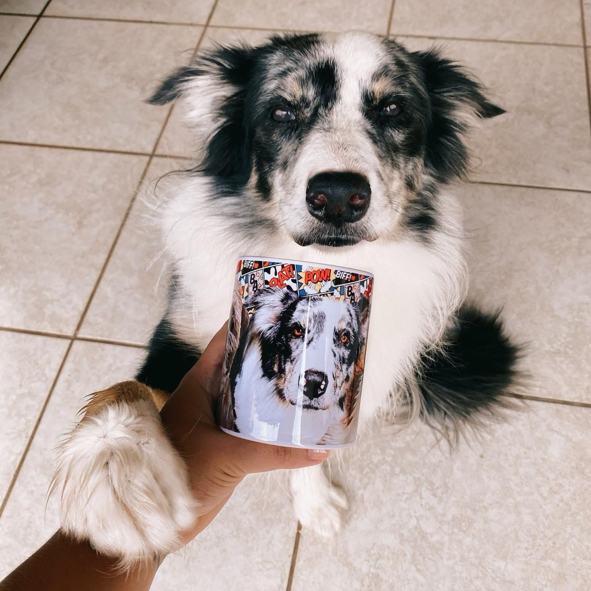 Canecas pet personalizadas, da Meu Quadro Pet (R$ 85)