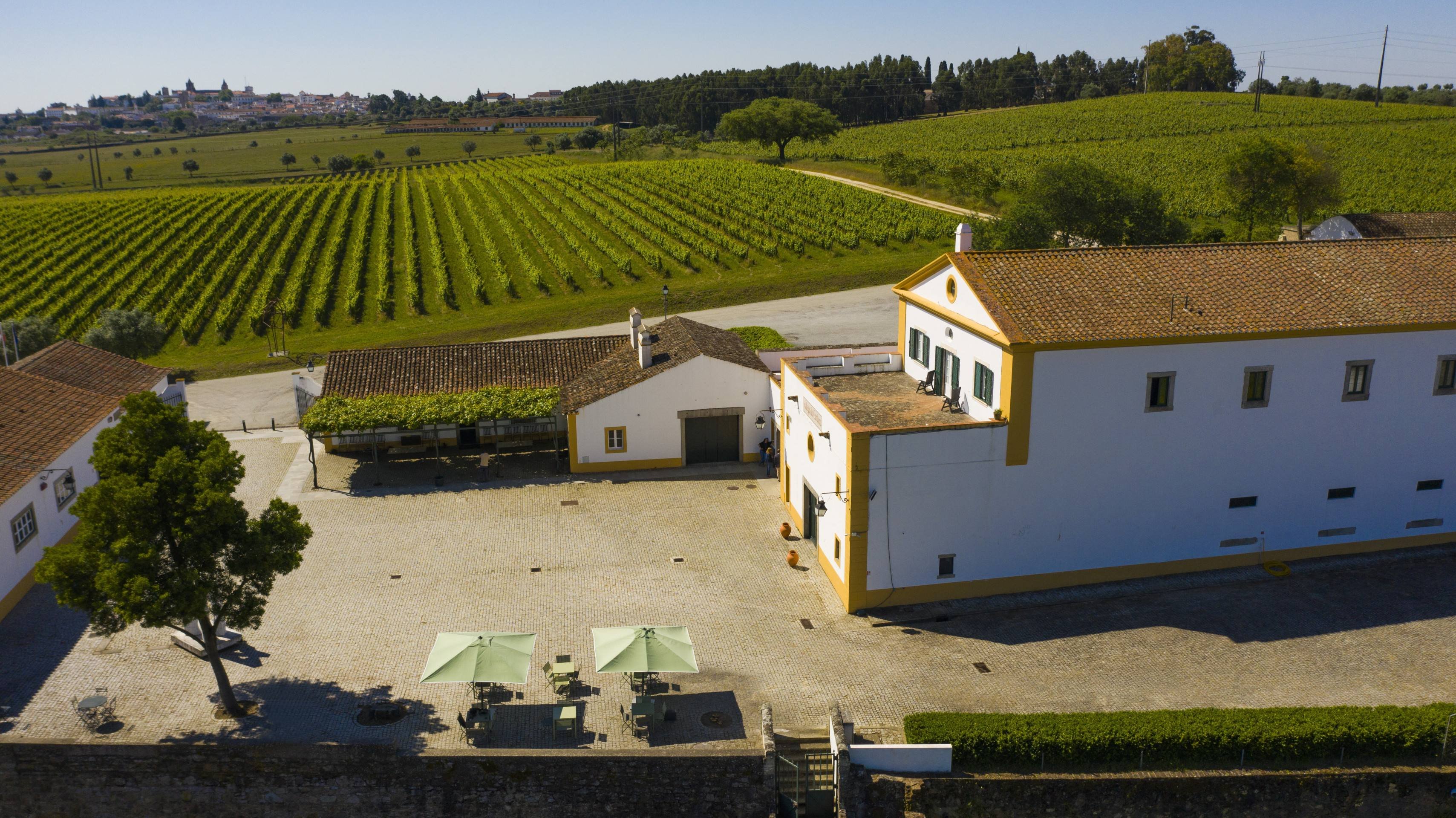 Vinícolas do Alentejo Apesar de relativamente jovem, a Cartuxa é uma das vinícolas mais populares de Portugal