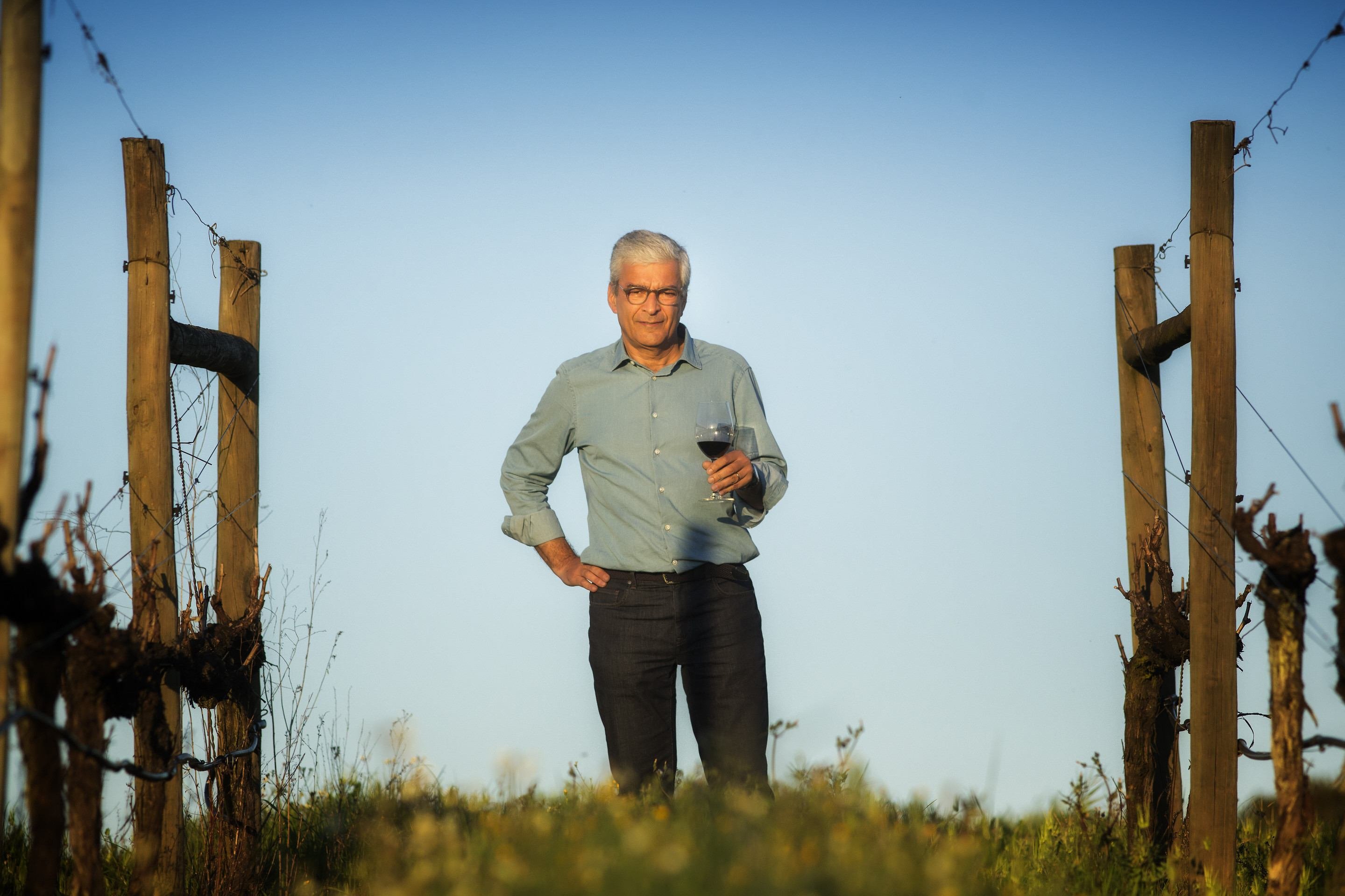 Vinícolas do Alentejo A Herdade dos Grous foi comprada pela família alemã Pohl, que passou a produzir vinhos em 2004