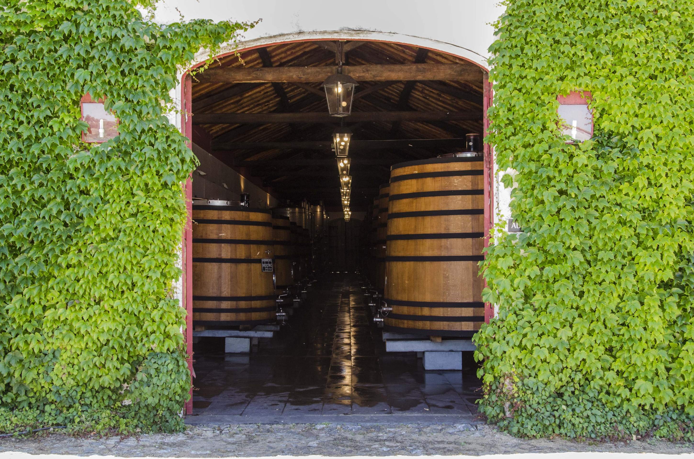 Vinícolas do Alentejo A Reynolds tem origem em uma família inglesa