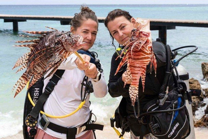 O peixe-leão é uma espécie invasora e se reproduz em velocidade alarmante, dizimando a população nativa de peixes dos recifes - (crédito: Turtle and Ray Productions) O peixe-leão é uma espécie invasora e se reproduz em velocidade alarmante, dizimando a população nativa de peixes dos recifes - (crédito: Turtle and Ray Productions)