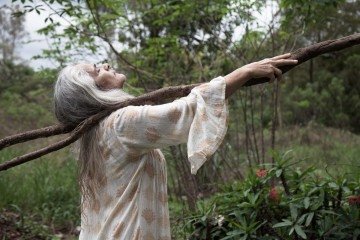 Espetáculo Arbórea -  (crédito: Divulgação )