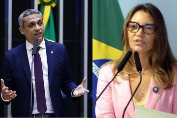 Os ministros afirmam que Gayer não tem legitimidade para requerer a realização de fiscalizações pelo TCU -  (crédito: Câmara dos Deputados/Ed Alves/CB/DA.Press)