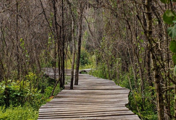  Guilherme Felix CB/DA Press