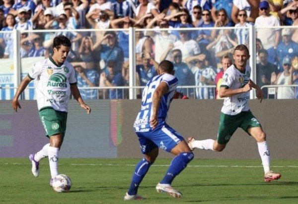 - Foto: João Heemann / ACF 