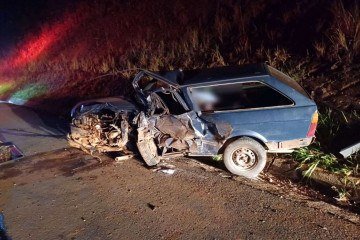 Na Paraty estavam um homem e uma mulher da mesma idade. O homem morreu na hora e a mulher foi levada ao hospital em estado grave  -  (crédito: PRF/GO)