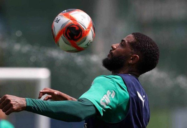 Foto: Cesar Greco/Palmeiras