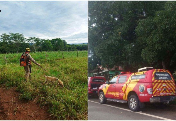 Divulgação/Corpo de Bombeiros de Goiás