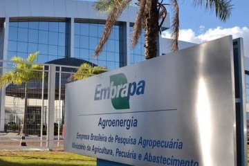 Com a homologação, a Embrapa pode iniciar as convocações dos candidatos aprovados, seguindo a ordem de classificação e o prazo de validade do concurso -  (crédito: Divulgação)