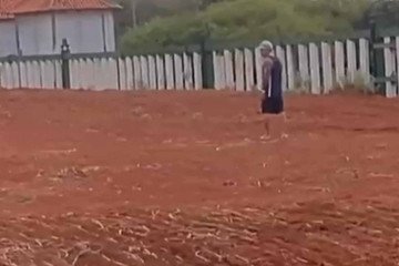 Homem invade recintos para elefantes no Zoo -  (crédito: Material cedido ao Correio)