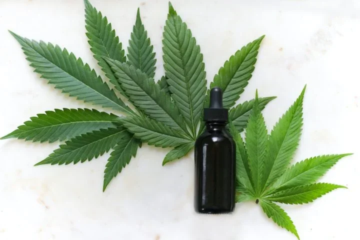 O uso recreativo da cannabis é legalizado no Canadá desde 2018. Foi a primeira grande economia do mundo a criar uma legislação desse tipo. -  (crédito: Kimzy Nanney Unsplash)