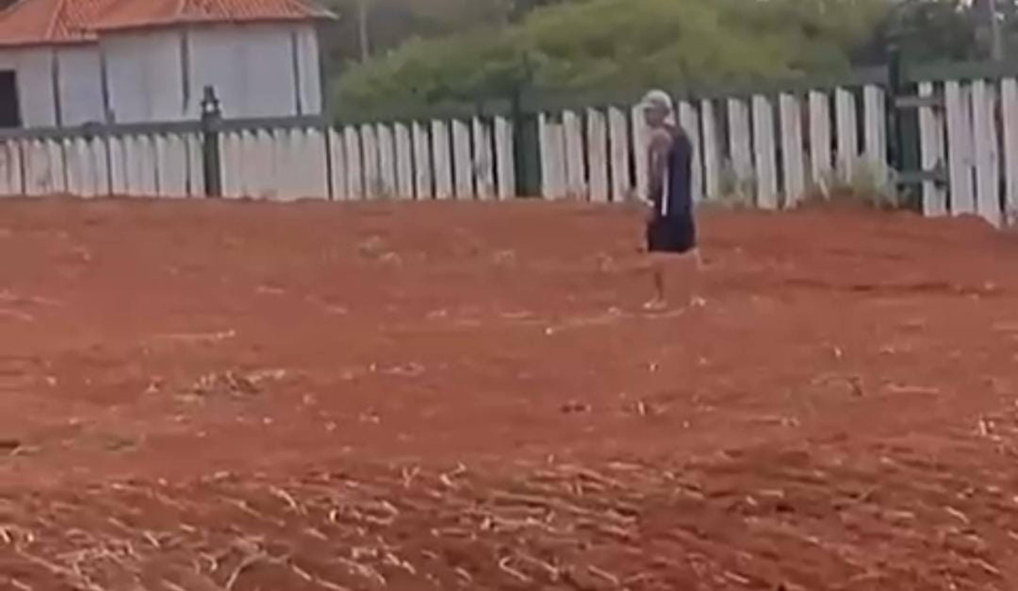 Influencer que invadiu recinto de elefante no Zoo é indiciado por maus-tratos