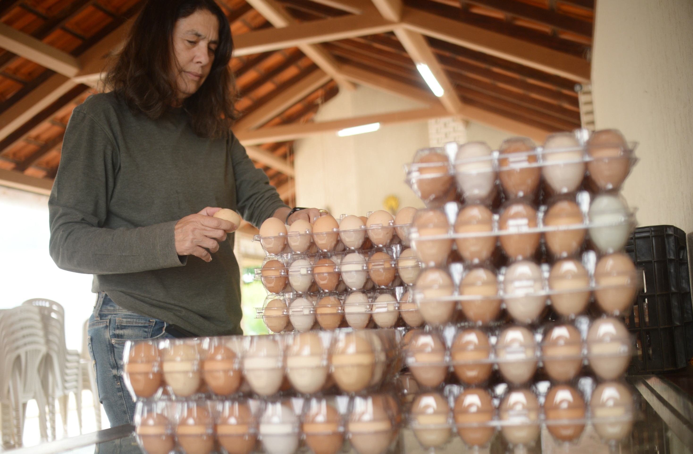 Mônica de Azevedo, da Granja Ovoeste, diz que o lucro permanece o mesmo pelo aumento no valor dos insumos