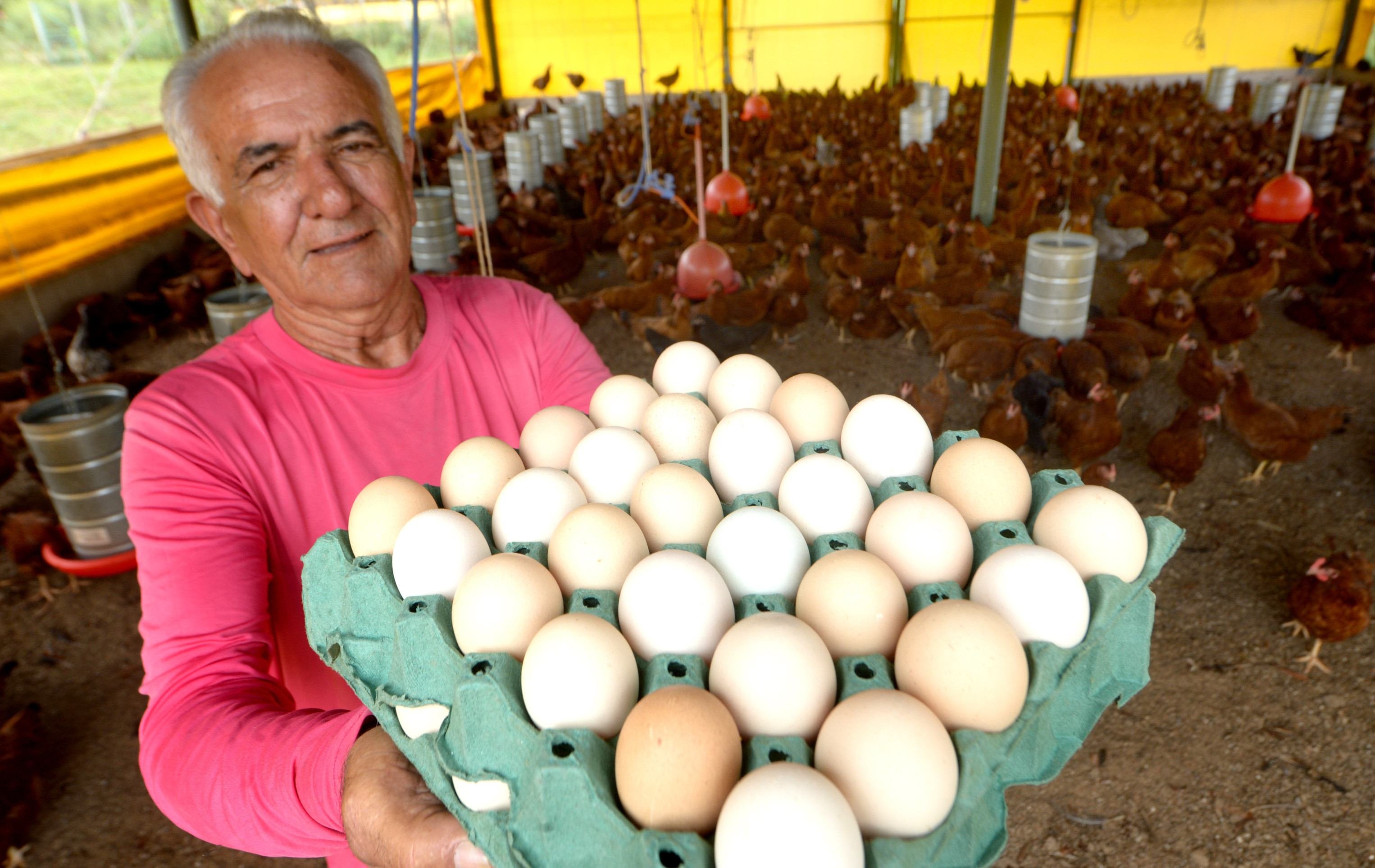 José Cicero da Silva é pai dos sócios da Granja Gema do Cerrado Ovos Caipira 