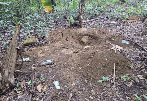 De acordo com os exames periciais, Thalita teria sido submetida a agressões brutais antes de ser assassinada -  (crédito: Darcianne Diogo/CB/D.A Press)